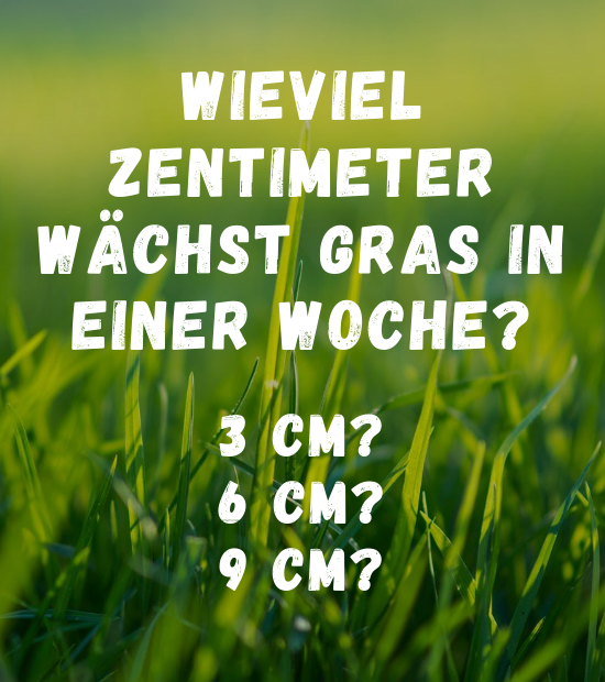 Wieviel Zentimeter wächst Gras in einer Woche? Rätsel