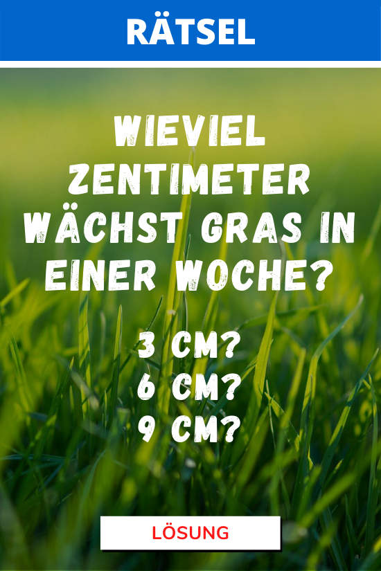 Wieviel Zentimeter wächst Gras in einer Woche? Rätsel
